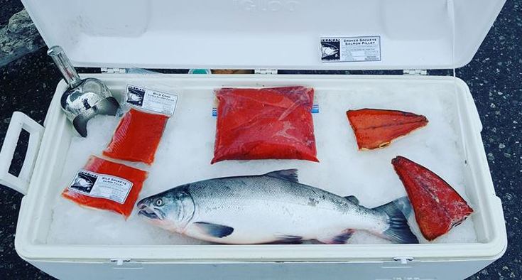 Freshly caught salmon and vacuum-sealed salmon fillets displayed on ice in a cooler, showcasing the quality and freshness of the catch.